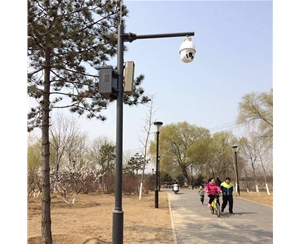 新疆路灯监控杆-LB-03